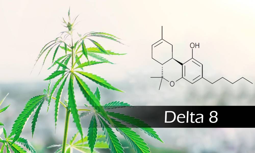 Delta-8-THC