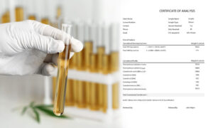 What-Is-Certificate-of-Analysis