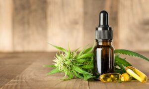 CBD oil bottle and CBD capsules beside cannabis plant on table